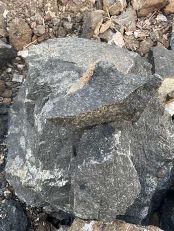 59174-e6b7e7dc6c384aedad20d28f3475872a